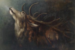 Sterbender Hirsch
