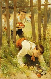 Äpfel stehlen