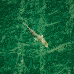 Im tiefen Wasser (rechts), 2021