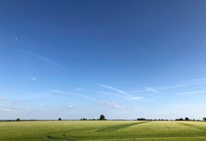 Sommerernte 2018 von Katha Wood