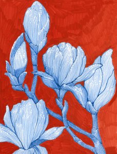 Ausdrucksstarke blaue Magnolien von Katie O'Shea