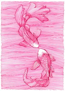 Tanz der rosa Koi von Katie O'Shea