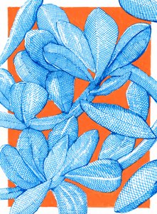 Leuchtender botanischer Pop von Katie O'Shea