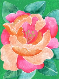 Leuchtende Blumenblüte von Katie O'Shea