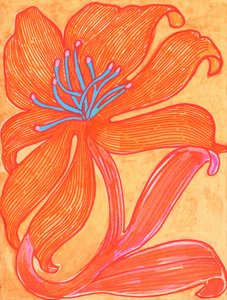 Leuchtend orangefarbene Lilie von Katie O'Shea