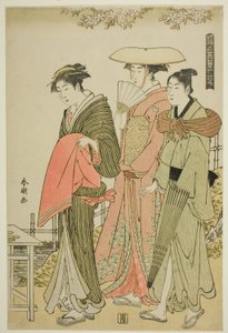 Blumen, aus der Serie "Schnee, Mond und Blumen der schwebenden Welt" von Katsukawa Shuncho