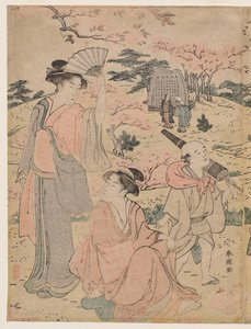 Frauen betrachten Kirschblüten in Asukayama