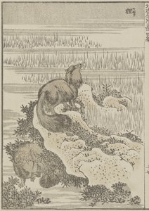 Dachs, um 1840 von Katsushika Hokusai