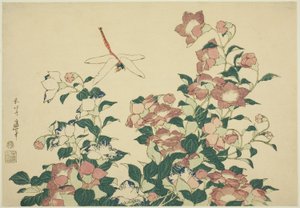 Glockenblume und Libelle, aus einer unbetitelten Serie großer Blumen von Katsushika Hokusai