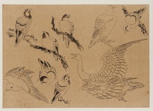 Vögel, Edo-Periode, spätes 18. - frühes 19. Jahrhundert von Katsushika Hokusai