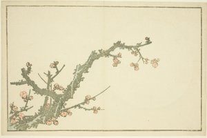 Blühender Pflaumenbaum, aus Das Bilderbuch der realistischen Gemälde von Hokusai (Hokusai shashin gafu)