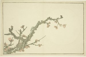 Blühender Pflaumenbaum, aus Das Bilderbuch der realistischen Malereien von Hokusai