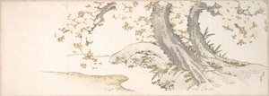 Blühende Kirschbäume an einem Bach von Katsushika Hokusai