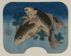 Karpfen schwimmen bei Wasserpflanzen, 1831