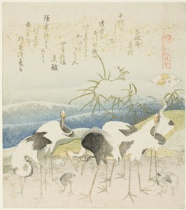 Kraniche am Ufer, Illustration für Die Beinmuschel (Ashigai), aus der Serie „Ein Zuordnungsspiel mit Gedichtmuscheln aus der Genroku-Zeit (Genroku kasen kai awase)“ von Katsushika Hokusai