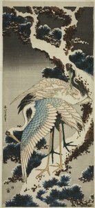 Kraniche auf schneebedeckter Kiefer von Katsushika Hokusai