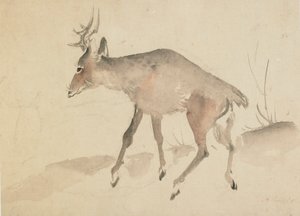 Hirsch, spätes 18. bis frühes 19. Jahrhundert