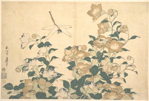 Libelle und Glockenblume