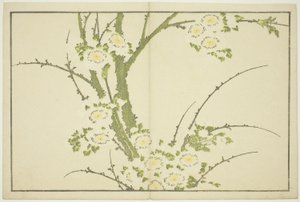 Blumen, aus Das Bilderbuch der realistischen Gemälde von Hokusai (Hokusai shashin gafu), ca. 1814 von Katsushika Hokusai