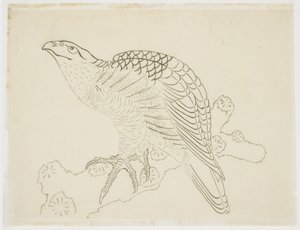 Falke auf einem Ast (Studie) von Katsushika Hokusai