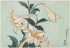 Lilien, ca. 1832