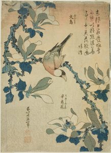 Reiher und Magnolienblüten (Buncho, kobushi no hana), aus einer unbetitelten Serie von Blumen und Vögeln von Katsushika Hokusai