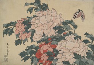 Pfingstrosen und Schmetterling, aus einer unbetitelten Serie namens Große Blumen von Katsushika Hokusai