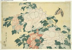 Pfingstrosen und Schmetterling, aus einer unbetitelten Serie großer Blumen von Katsushika Hokusai