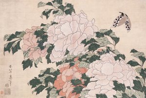 Rosa und Rote Pfingstrosen, vom Wind nach links geblasen und ein Schmetterling von Katsushika Hokusai