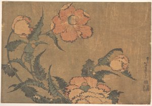 Mohnblumen im Wind von Katsushika Hokusai