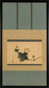 Kürbisranke und Pferdefliege, ca. 1825-1833