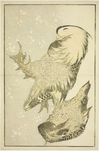 Zwei Wasservögel, aus dem Bilderbuch der realistischen Malereien von Hokusai (Hokusai shashin gafu)