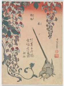 Bachstelze und Glyzinie, Edo-Periode, 1834 von Katsushika Hokusai