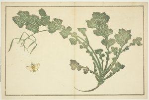 Wespe und Rübenstängel, aus "Das Bilderbuch der realistischen Malereien von Hokusai"
