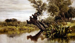 Der Weidenbaum