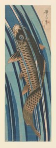 Karpfen schwimmen stromaufwärts von Keisai Eisen