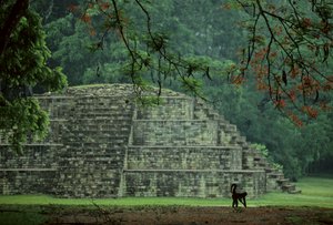 Honduras; Copan; Maya von Kenneth Garrett