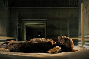 mm7864; 18. Dynastie; Neues Reich; Ägypten; DNA; Probe; Mumie, unbekannte Mumie, 2005 (Foto)