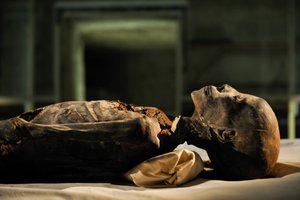 mm7864; 18. Dynastie; Neues Reich; Ägypten; DNA; Probe; Mumie, unbekannte Mumie, 2005 (Foto)