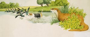 Ein Otter beobachtet einen Hund, der Enten jagt