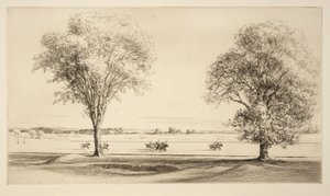 Polo von Kerr Eby