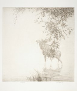 Schatten auf dem Agawa von Kerr Eby