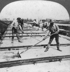 Solare Verdunstung, Salzherstellung, Syracuse, New York, USA, 20. Jahrhundert