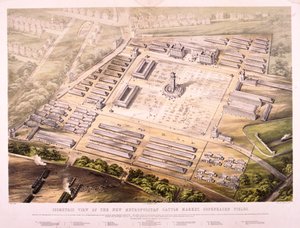Metropolitan Viehmarkt, London, 1855