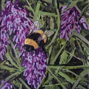 Summen - Hummel auf Lavendel