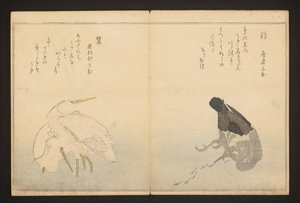 Kormoran und Reiher von Kitagawa Utamaro