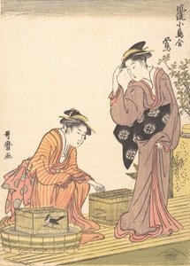 Japanische Buschgrasmücke, 1754-1806 von Kitagawa Utamaro