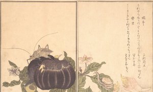 Landschnecke Katatsumuri, Riesenkäfer Kutsuwamushi, 1788 von Kitagawa Utamaro
