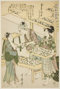 Nr. 6 (roku), aus der Serie "Frauen in der Seidenraupenzucht (Joshoku kaiko tewaza-gusa)" von Kitagawa Utamaro