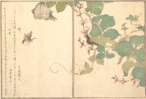 Papierwespe Hachi, haarige Raupe Kemushi..., 1788